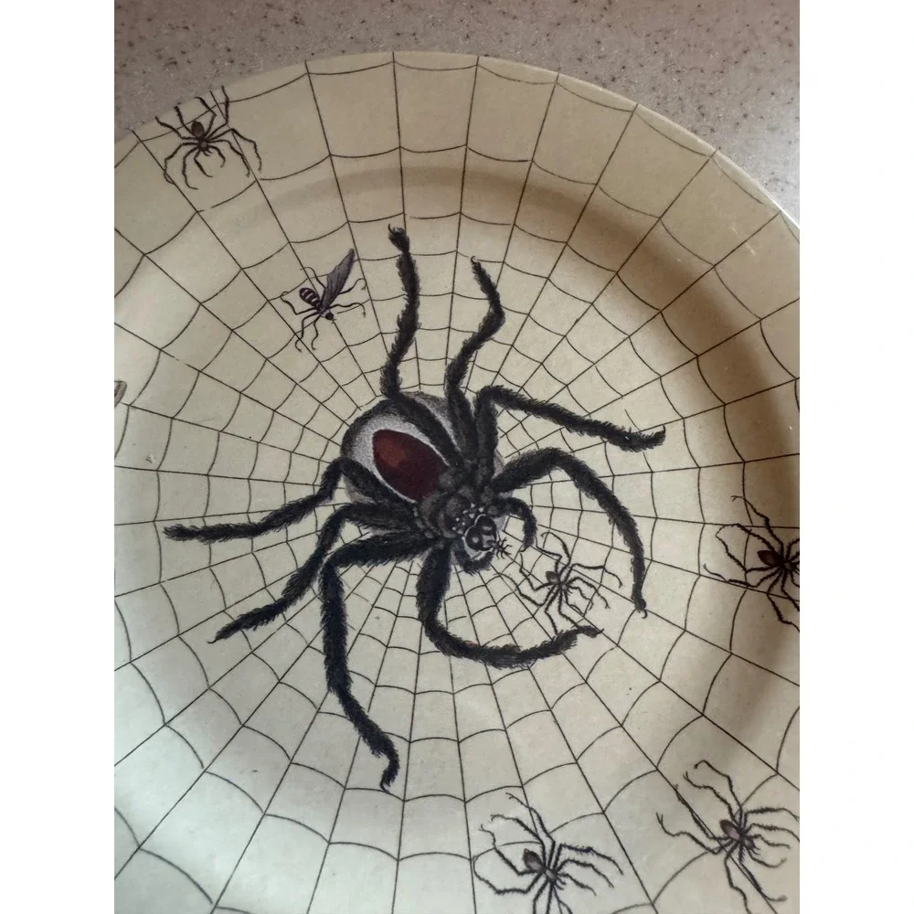 John Derian Spider Web Plate Set  Halloween Appetizer Gothic Decor Melamine